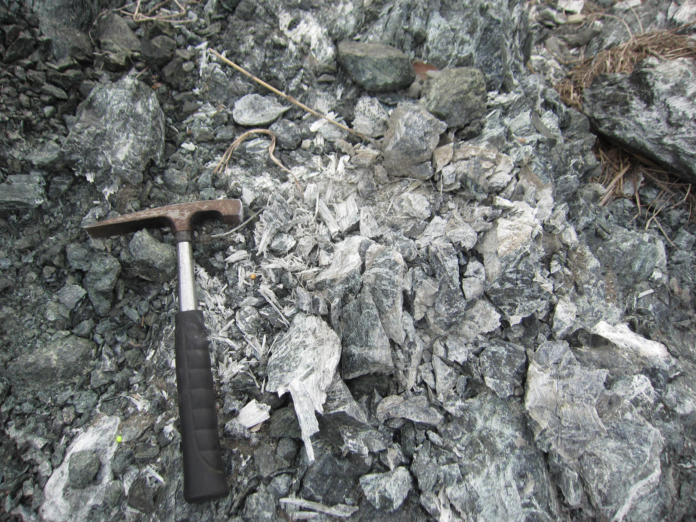 栗谷瀬橋近くの蛇紋岩とクリソタイル石綿