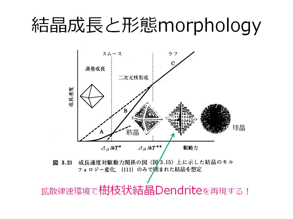Fortran90で拡散律速による樹枝状結晶の成長を再現