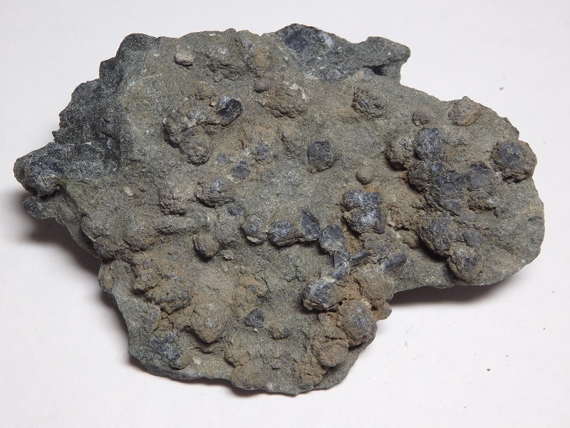 菫青石ホルンフェルス cordierite hornfels (神奈川県丹沢 Tanzawa, Kanagawa)