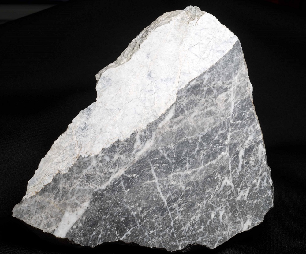 灰色の石灰岩が白色の苦灰岩に置換されていく境界部分(岐阜県赤坂)