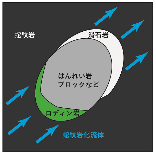 ロディン岩形成の様子を示した模式図_蛇紋岩化反応に伴う交代作用でカルシウム珪酸塩鉱物が生じる